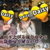 Ĺ襳ѥ˥󥯥 Ĺѥ˥-Daisy- ǥ (Ĺȯ 㸩)(ʥѥ˥ǥ)1120Ź®֡ڴɤ̣🍶✨ۡ