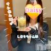 Ĺ襳ѥ˥󥯥 Ĺѥ˥-Daisy- ǥ (Ĺȯ 㸩)(ʥѥ˥ǥ)523Ź®֥👩‍❤️‍👨🍴🍸️