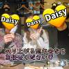 Ĺ襳ѥ˥󥯥 Ĺѥ˥-Daisy- ǥ (Ĺȯ 㸩)(ʥѥ˥ǥ)1120Ź®֡ڴɤ̣🍶✨ۡ
