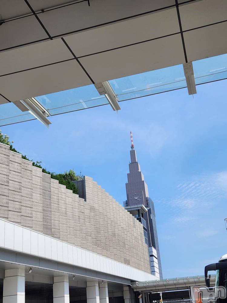 ��ˬ����Х��顦����֥���� �ץ���� ��ˬ(����� �ץ���� ����) ע�� ��������7��30���̥�֥�����🌈��