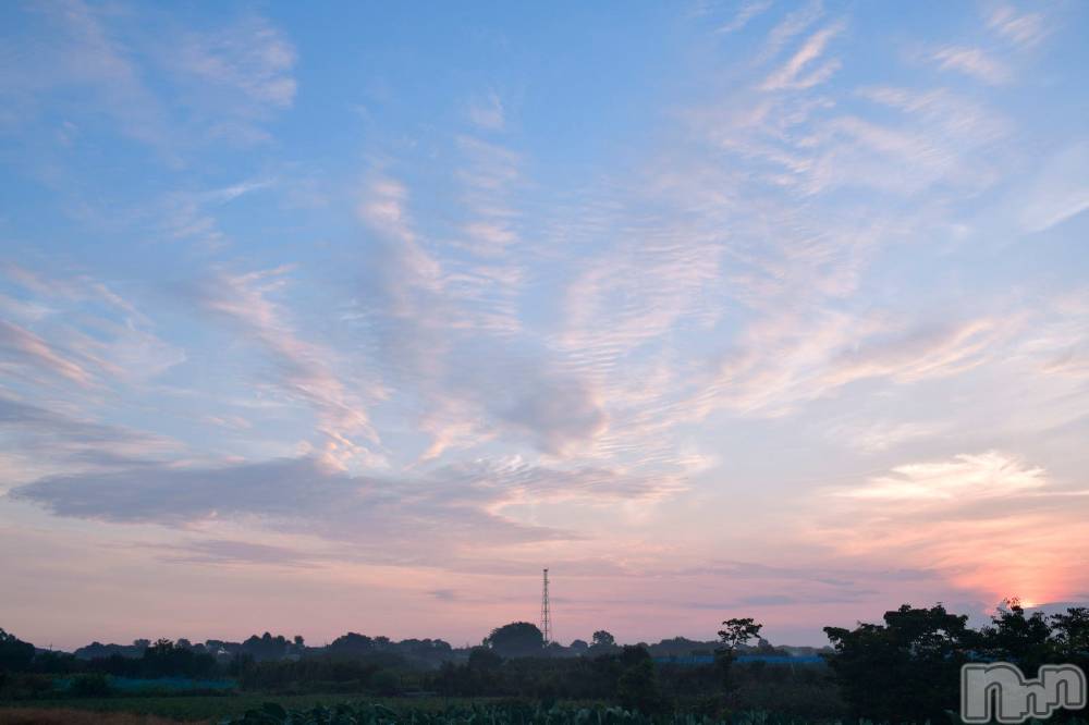 ��ˬ����Х��顦����֥���� �ץ���� ��ˬ(����� �ץ���� ����) ע�� ��������9��20���̥�֥�����🦢��