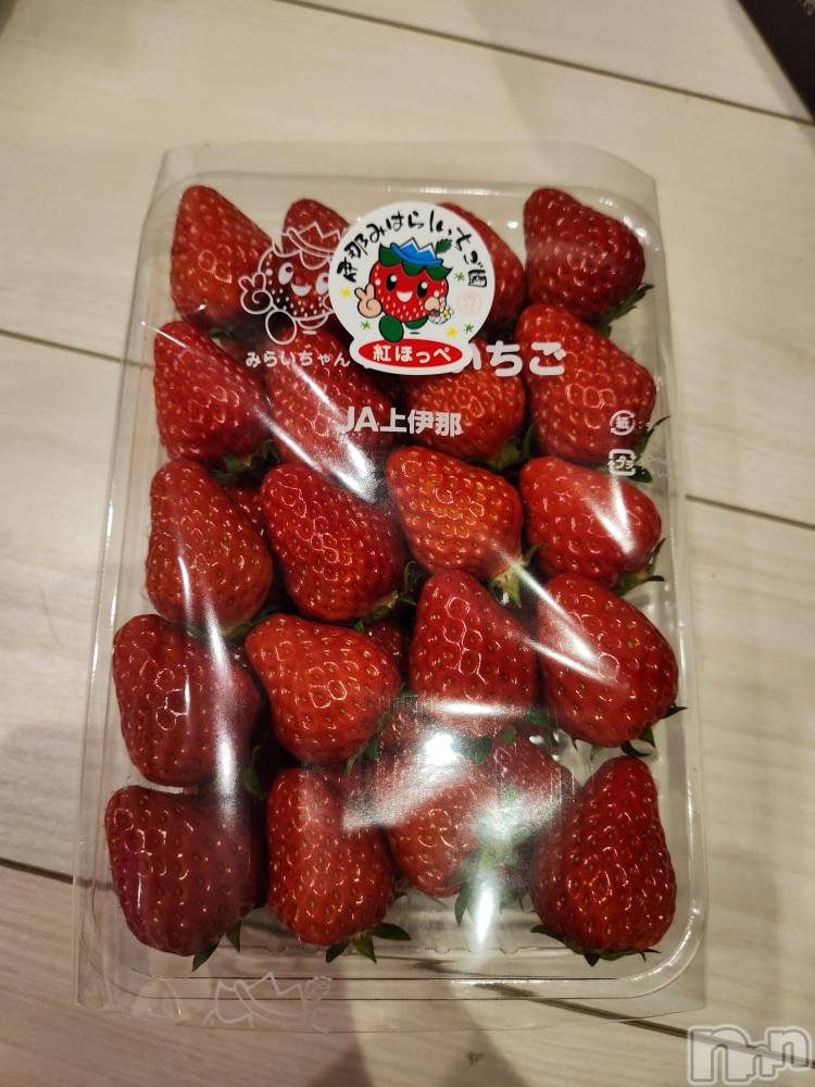 ��ˬ����Х��顦����֥���� �ץ���� ��ˬ(����� �ץ���� ����) ע�� ��������2��5���̥�֥�����🦀��