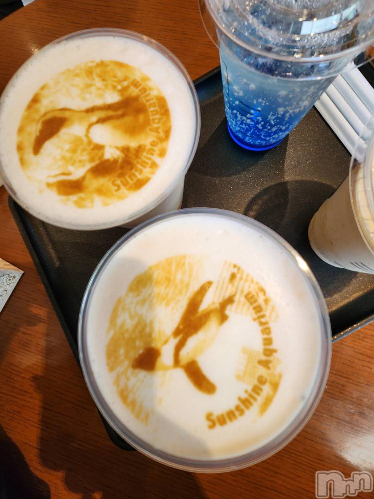 ��ˬ����Х��顦����֥���� �ץ���� ��ˬ(����� �ץ���� ����) ע�� ��������2��19���̥�֥�����🌵��