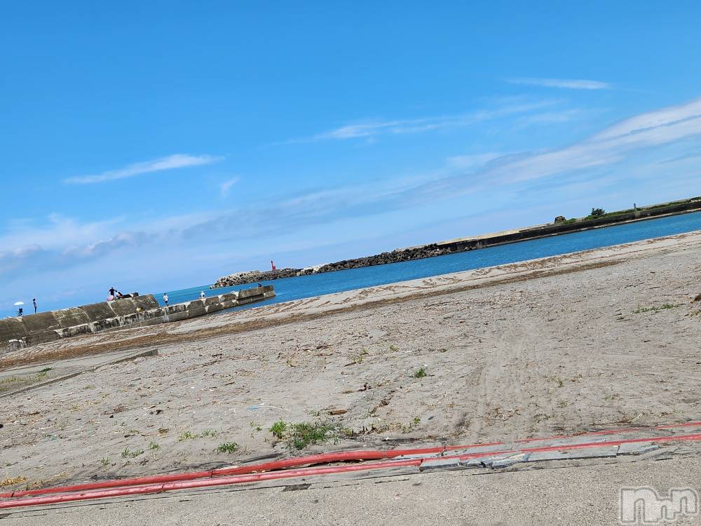 ��ˬ����Х��顦����֥���� �ץ���� ��ˬ(����� �ץ���� ����) ע�� ��������8��23���̥�֥�����🐚��