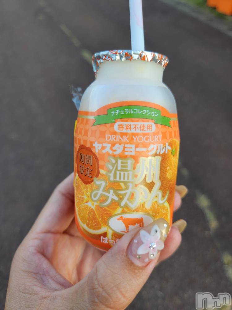 ��ˬ����Х��顦����֥���� �ץ���� ��ˬ(����� �ץ���� ����) ע�� ��������9��5���̥�֥�����⭐️��