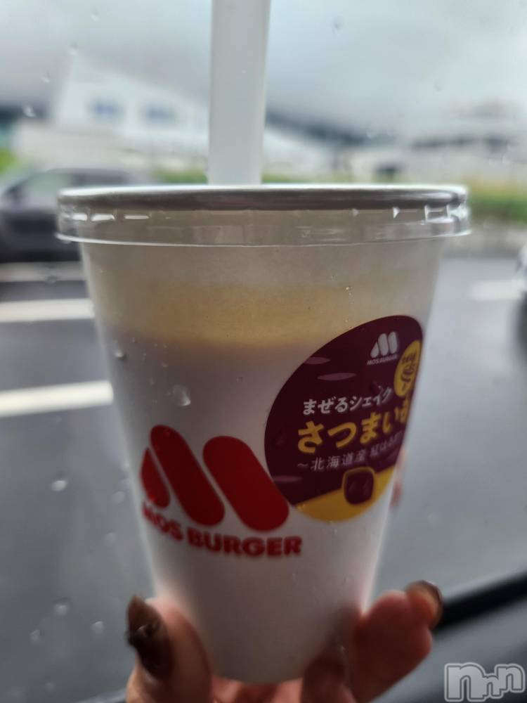 ��ˬ����Х��顦����֥���� �ץ���� ��ˬ(����� �ץ���� ����) ע�� ��������9��27���̥�֥�����🌵��