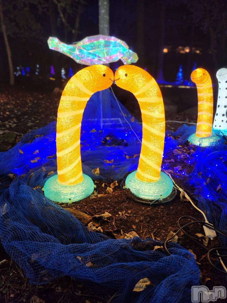 ��ˬ����Х��顦����֥���� �ץ���� ��ˬ(����� �ץ���� ����) ע�� ��������10��17���̥�֥�����🐟��