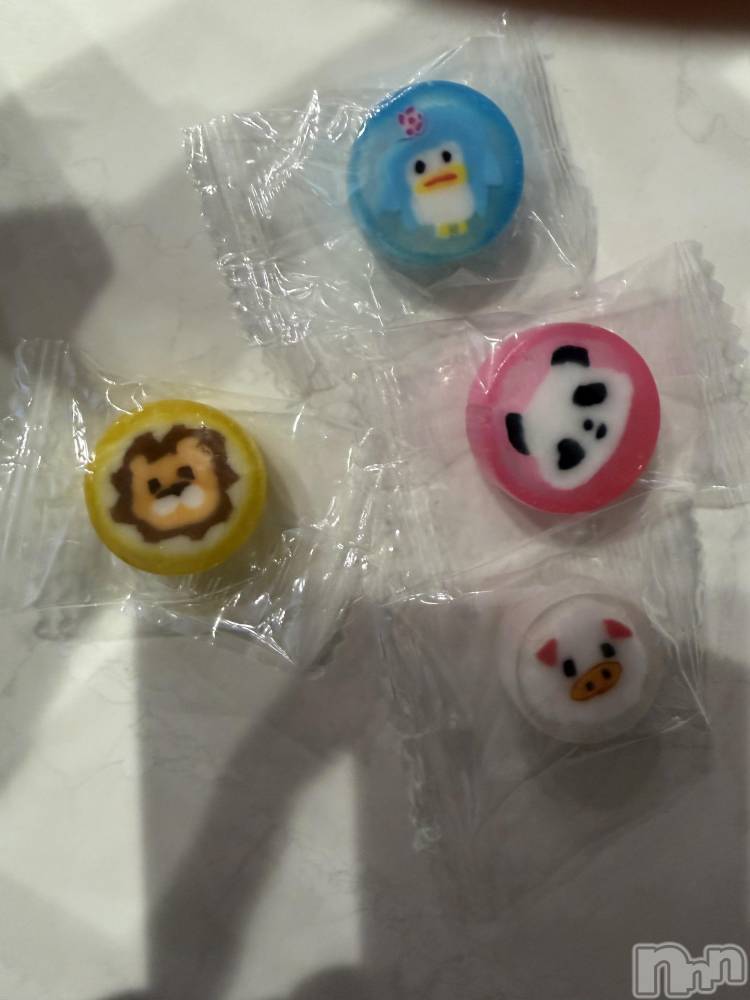 ��ˬ����Х��顦����֥���� �ץ���� ��ˬ(����� �ץ���� ����) ע�� ��������1��11���̥�֥�����🍭��