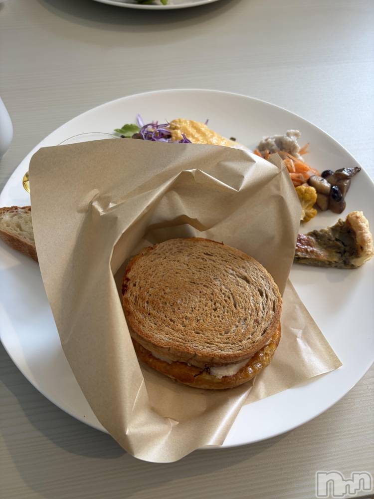 ��ˬ����Х��顦����֥���� �ץ���� ��ˬ(����� �ץ���� ����) ע�� ��������2��4���̥�֥�����🤎��