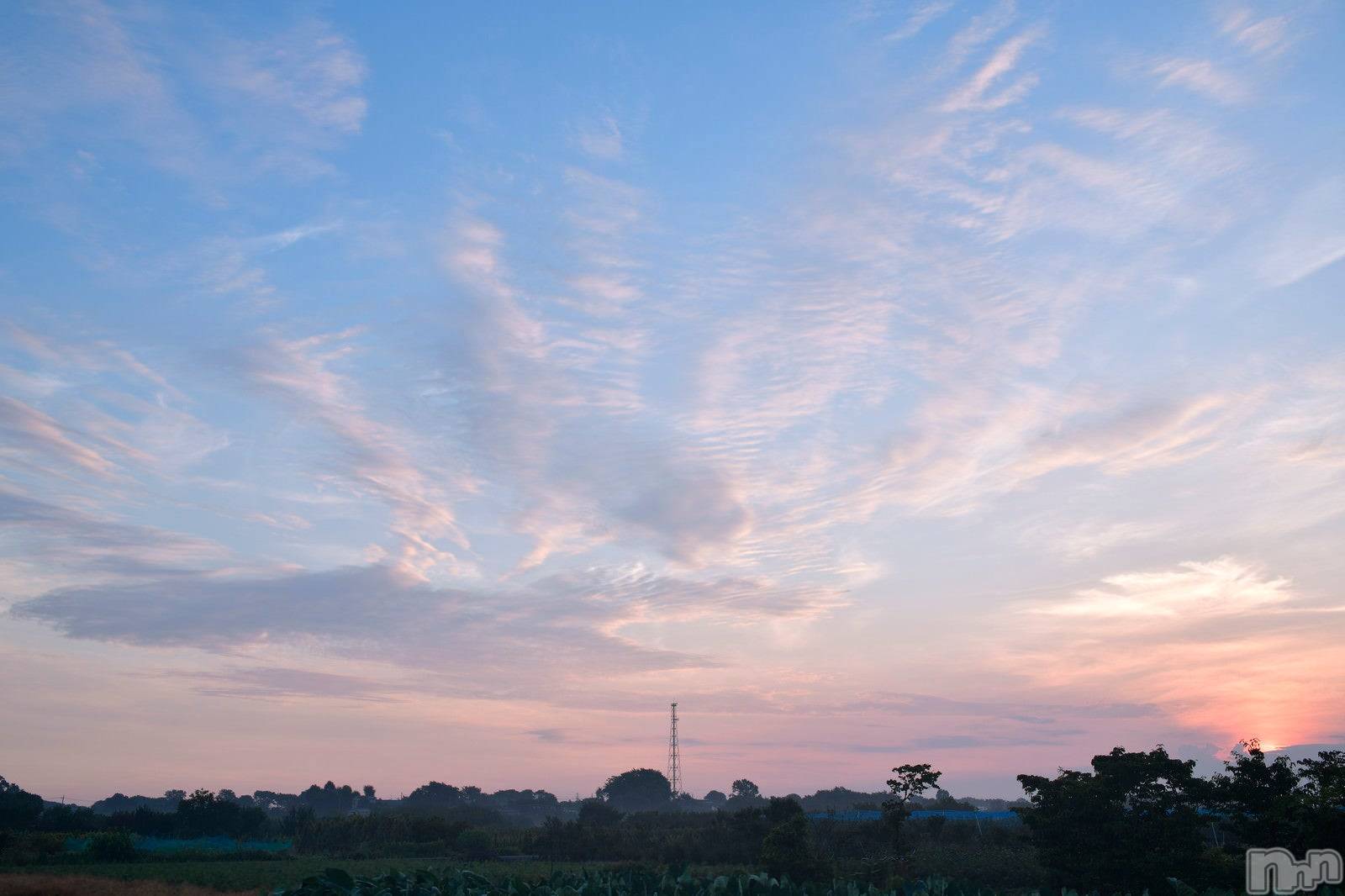 ��ˬ����Х��顦����֥���� �ץ���� ��ˬ(����� �ץ���� ����) ��2024ǯ9��20���̥�֥�����🦢��