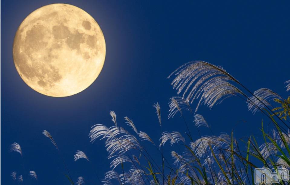 ��ˬ����Х��顦����֥���� �ץ���� ��ˬ(����� �ץ���� ����) ��2024ǯ10��5���̥�֥�����🌕️��