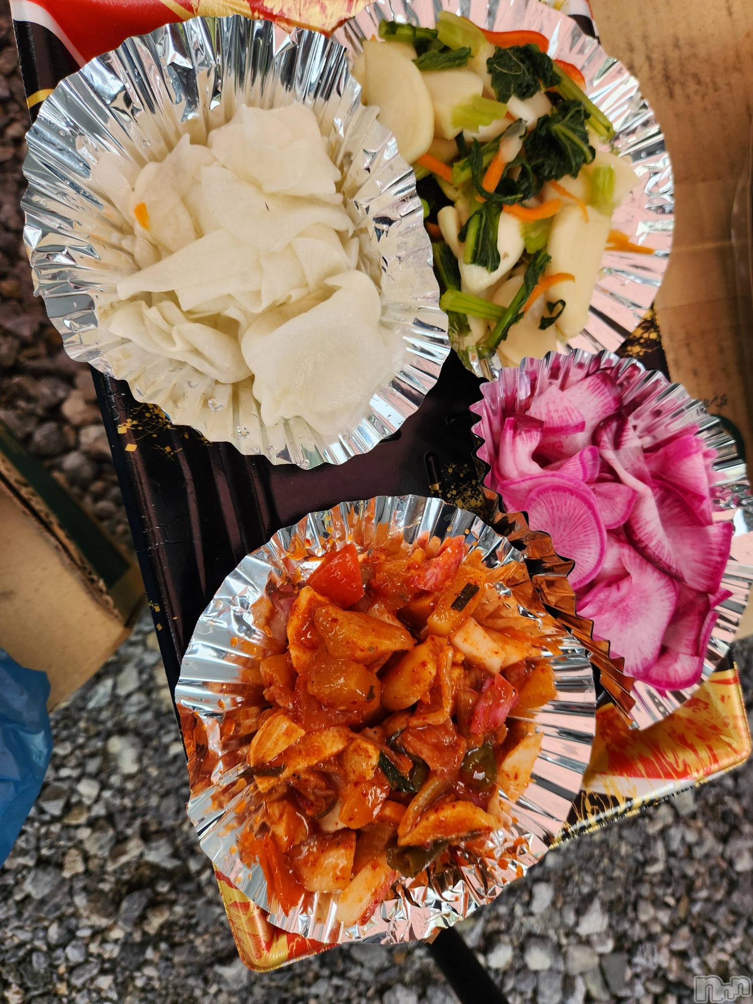 ��ˬ����Х��顦����֥���� �ץ���� ��ˬ(����� �ץ���� ����) ��2024ǯ11��1���̥�֥�����🌵��