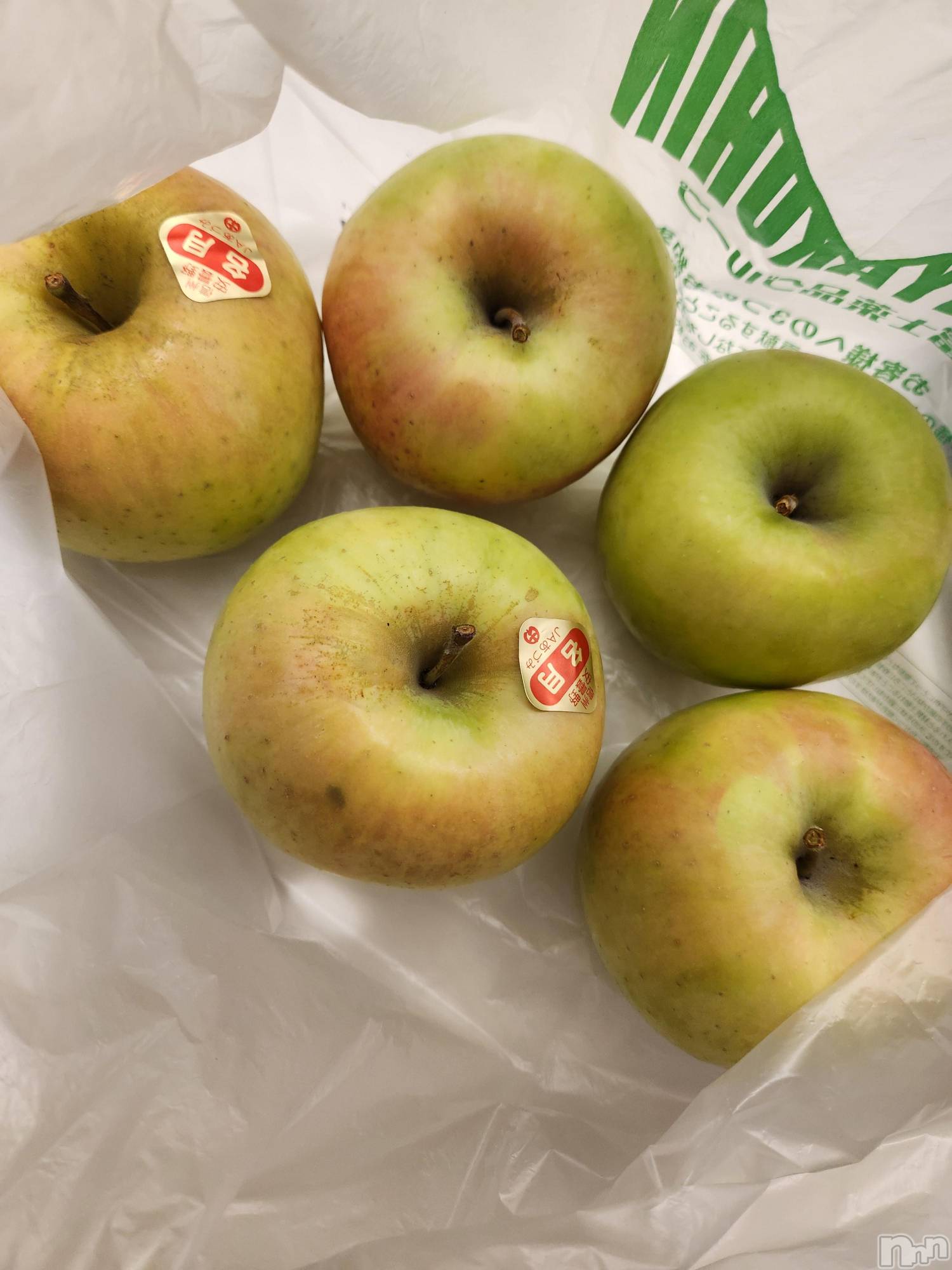 ��ˬ����Х��顦����֥���� �ץ���� ��ˬ(����� �ץ���� ����) ��2024ǯ11��21���̥�֥�����⭐��