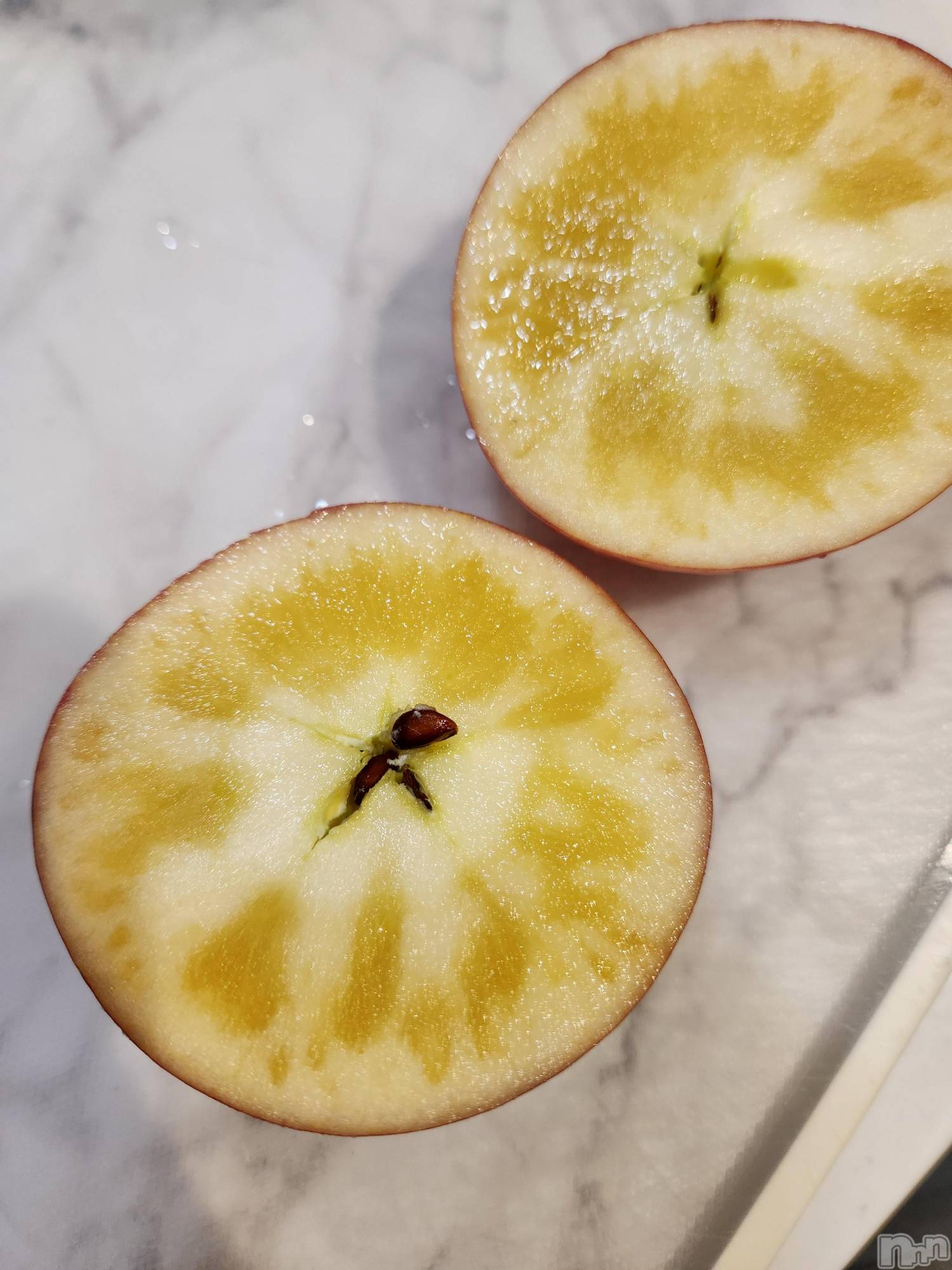 ��ˬ����Х��顦����֥���� �ץ���� ��ˬ(����� �ץ���� ����) ��2024ǯ12��27���̥�֥�����🌿��