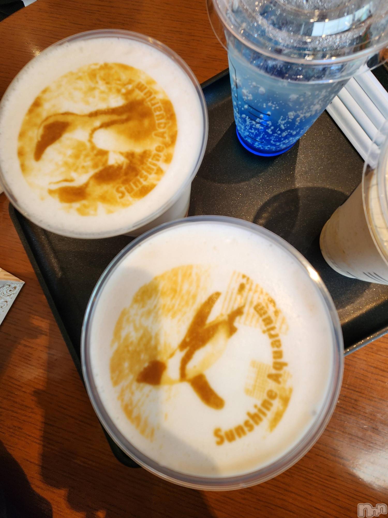 ��ˬ����Х��顦����֥���� �ץ���� ��ˬ(����� �ץ���� ����) ��2025ǯ2��19���̥�֥�����🌵��