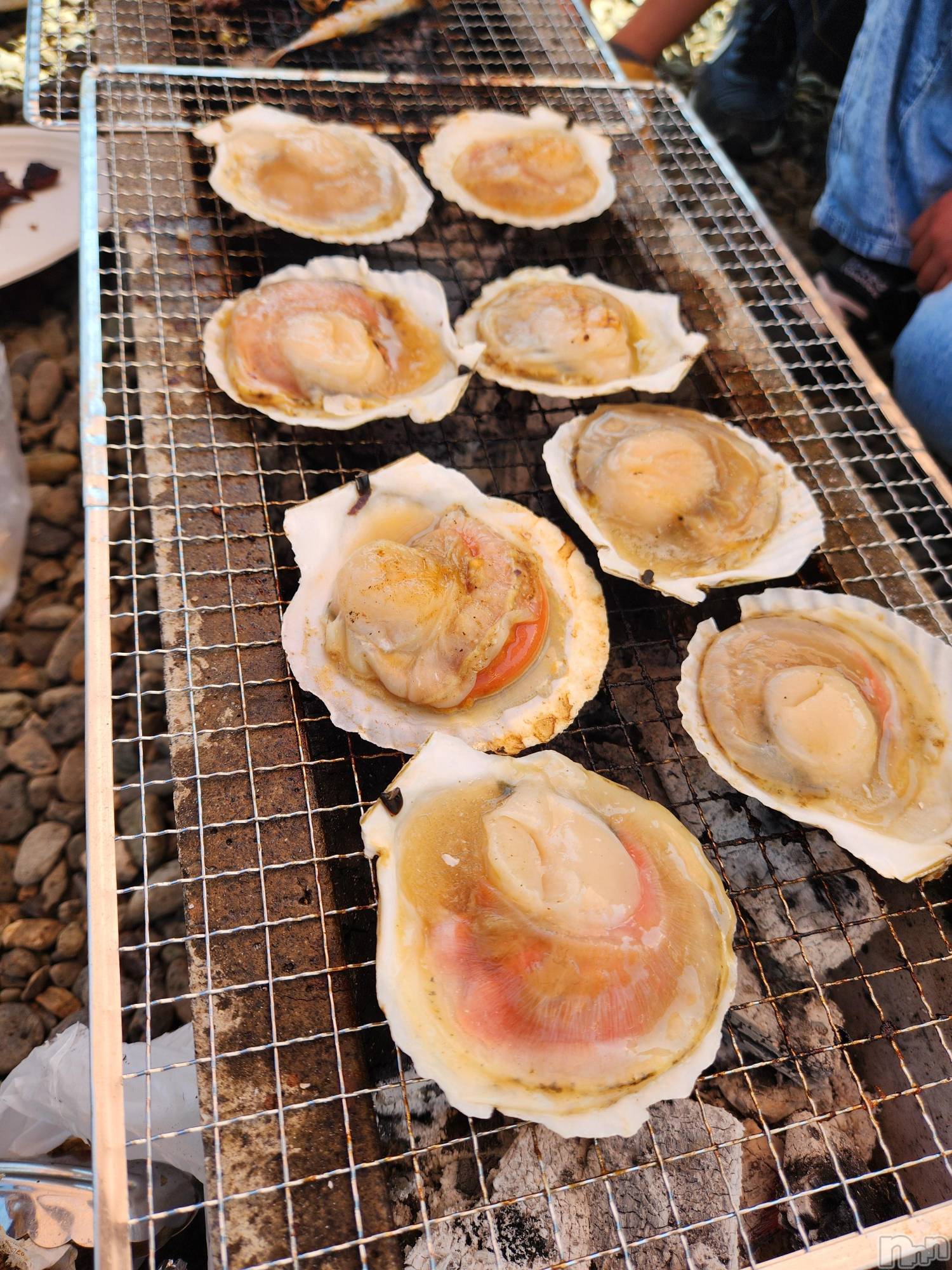 ��ˬ����Х��顦����֥���� �ץ���� ��ˬ(����� �ץ���� ����) ��2025ǯ5��14���̥�֥�����⭐��