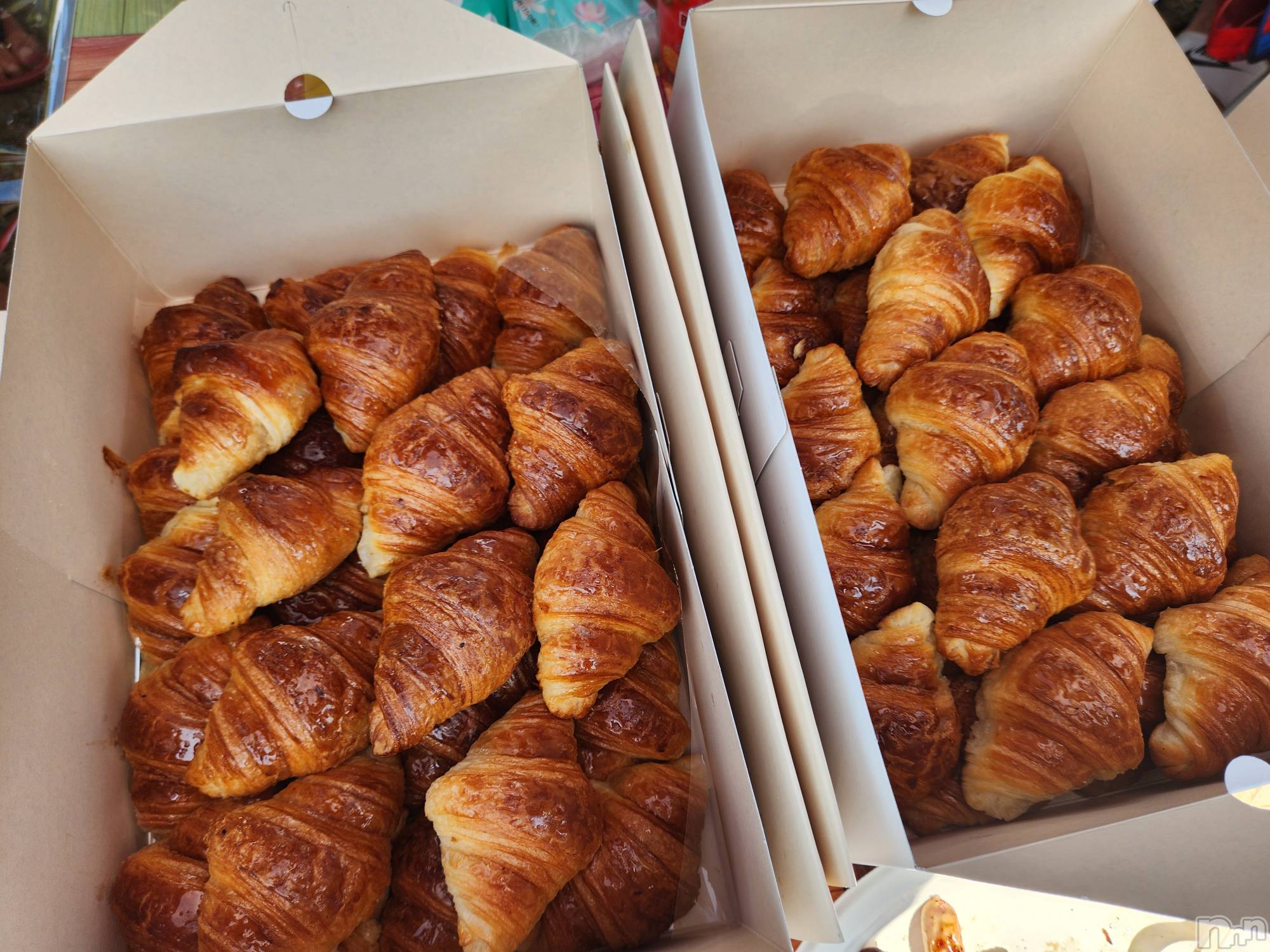 ��ˬ����Х��顦����֥���� �ץ���� ��ˬ(����� �ץ���� ����) ��2025ǯ7��12���̥�֥�����⛱️��