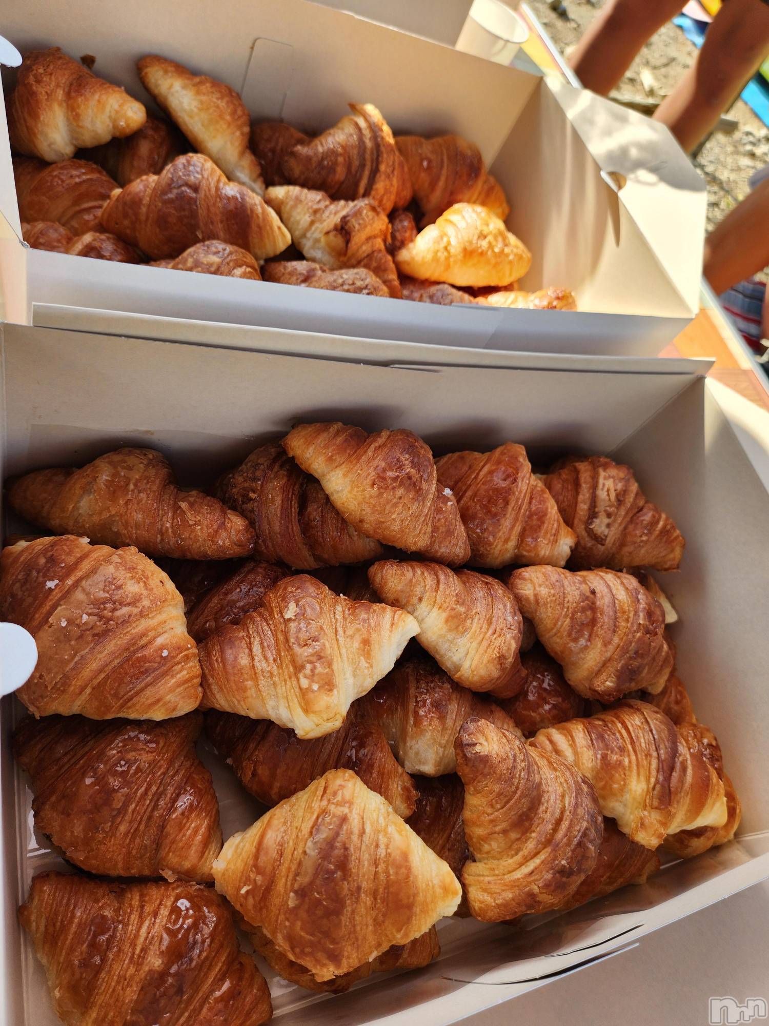 ��ˬ����Х��顦����֥���� �ץ���� ��ˬ(����� �ץ���� ����) ��2025ǯ8��22���̥�֥�����⭐��