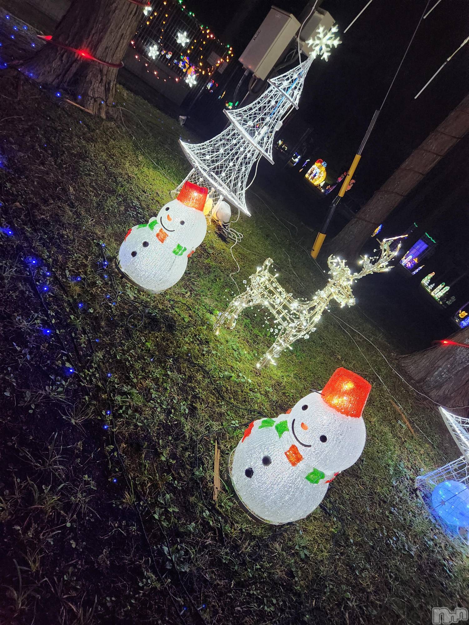 ��ˬ����Х��顦����֥���� �ץ���� ��ˬ(����� �ץ���� ����) ��2025ǯ10��13���̥�֥�����⭐��