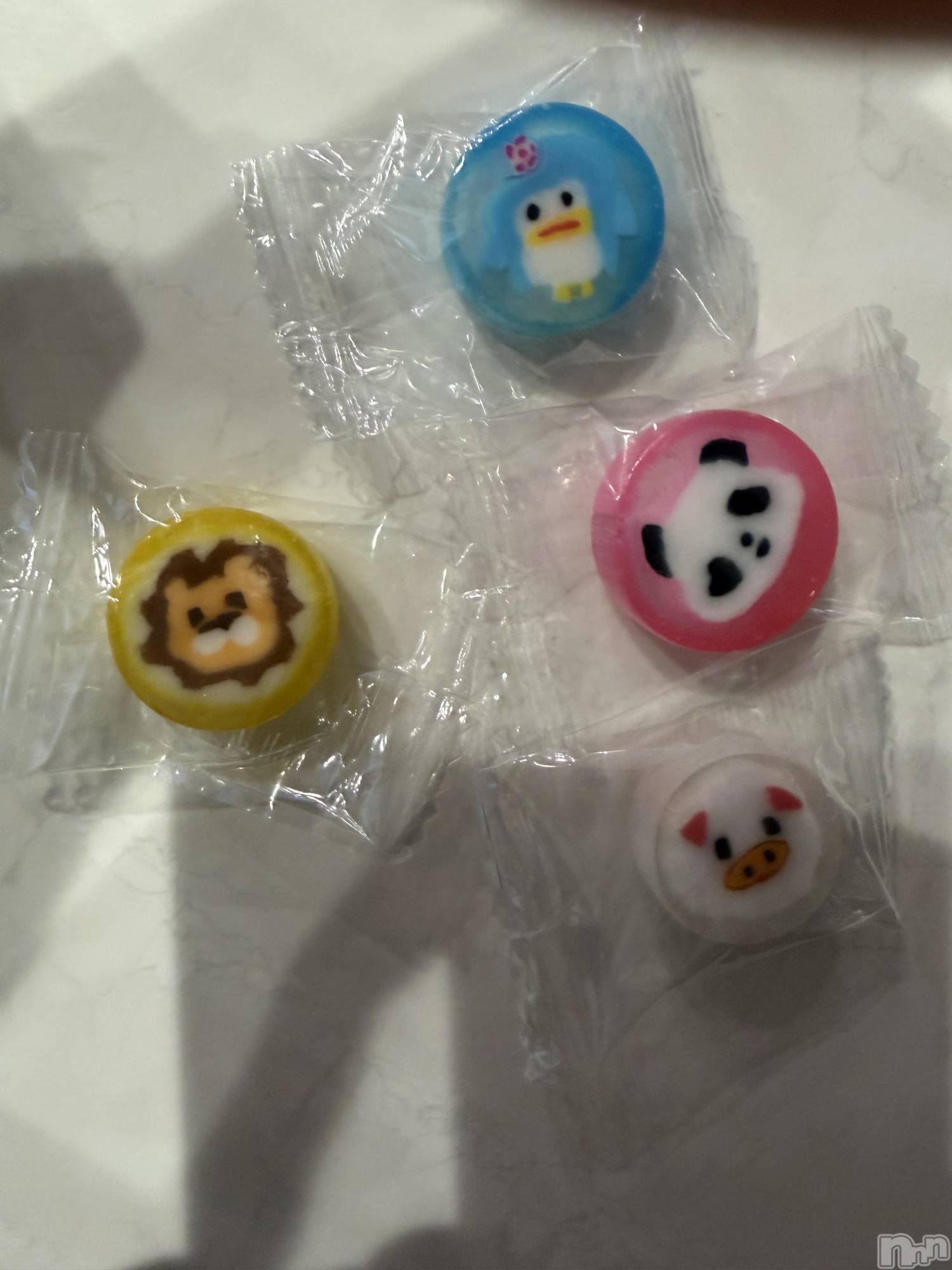 ��ˬ����Х��顦����֥���� �ץ���� ��ˬ(����� �ץ���� ����) ��2026ǯ1��11���̥�֥�����🍭��