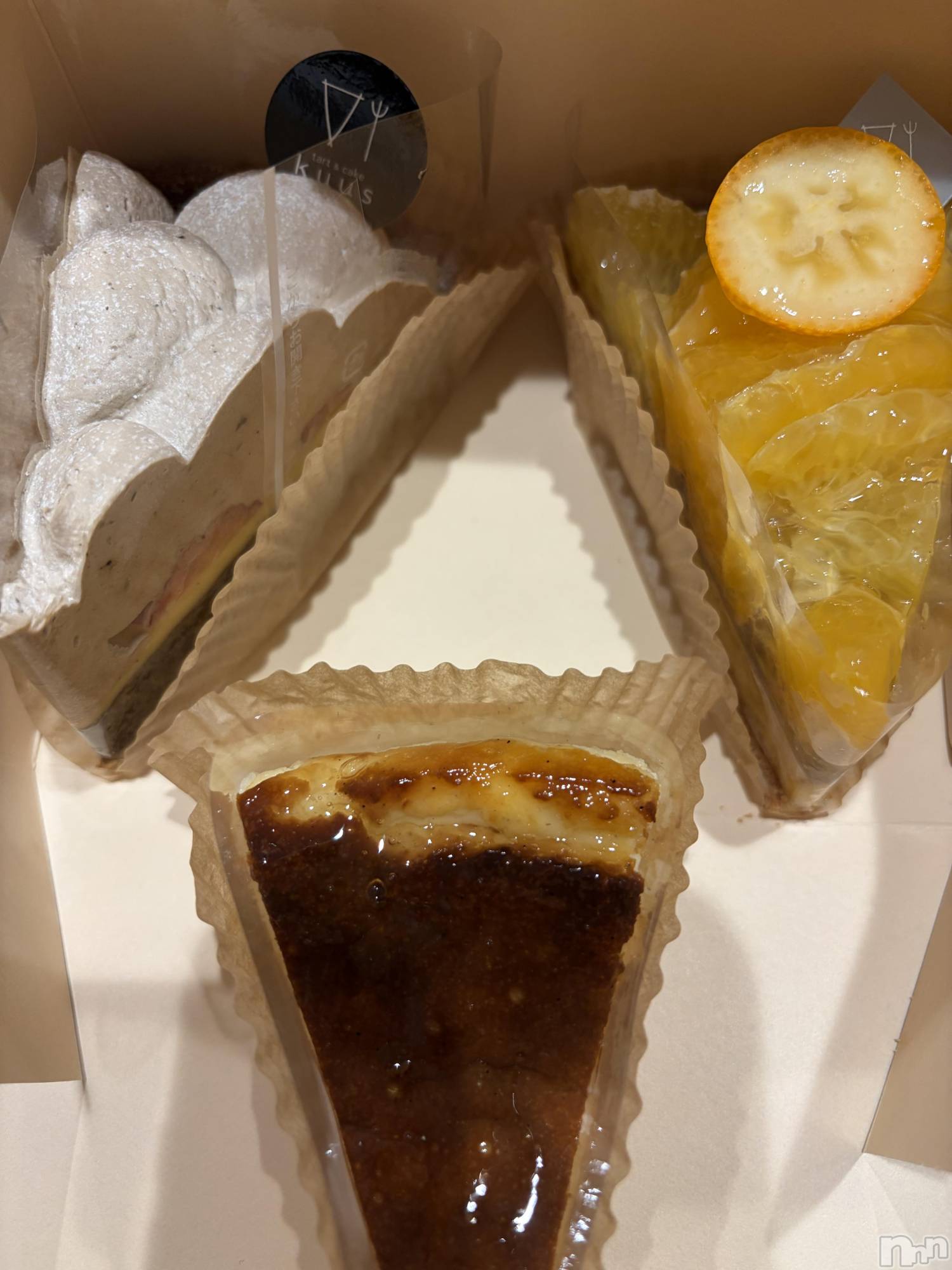 ��ˬ����Х��顦����֥���� �ץ���� ��ˬ(����� �ץ���� ����) ��2026ǯ1��16���̥�֥�����⭐️��