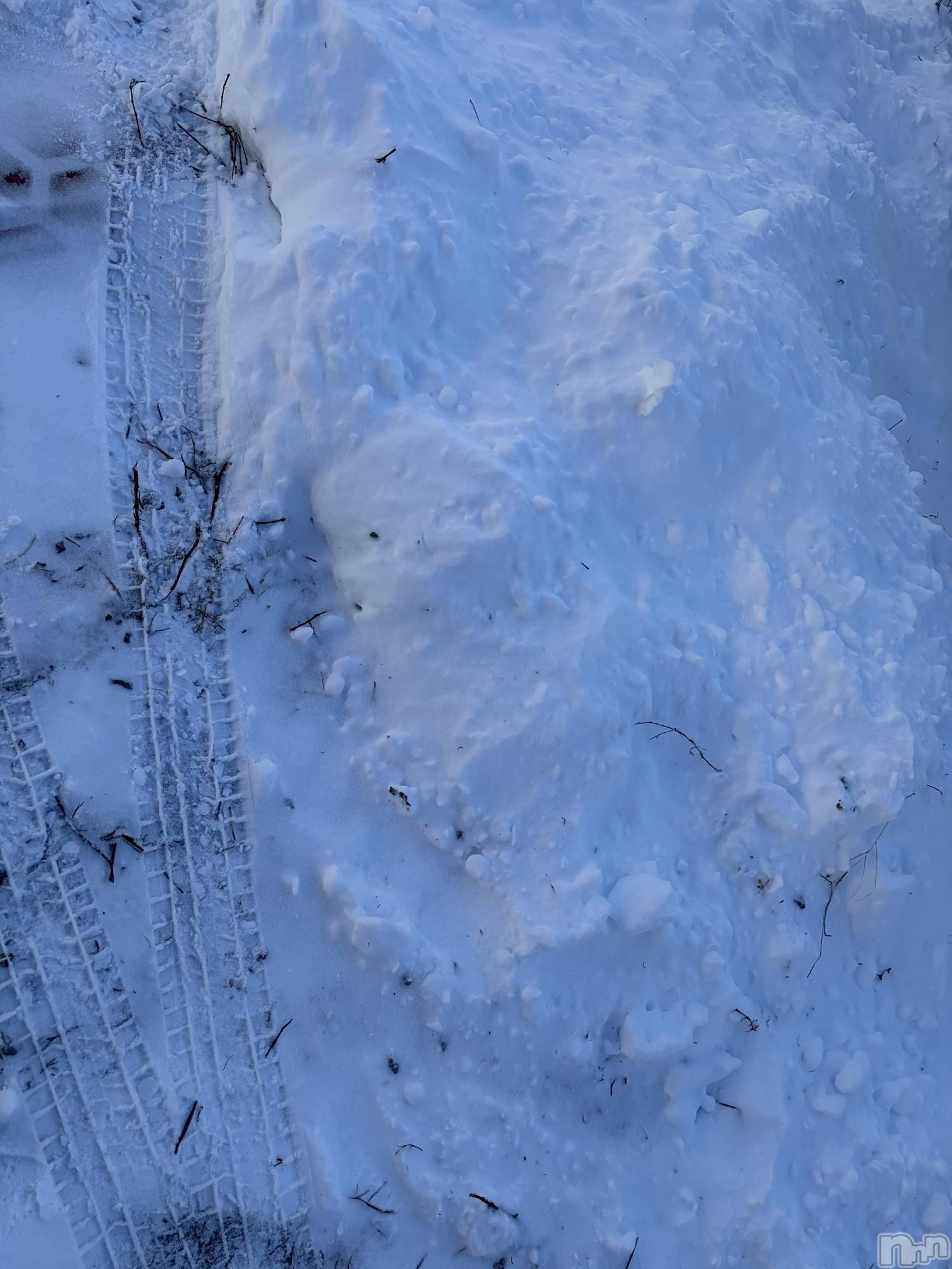 ��ˬ����Х��顦����֥���� �ץ���� ��ˬ(����� �ץ���� ����) ��2026ǯ2��12���̥�֥�����☃️��