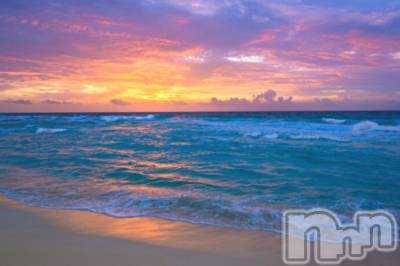 ��ˬ����Х��顦����֥���� �ץ���� ��ˬ(����� �ץ���� ����) ע�� ��������9��7���̥�֥�����🎈��