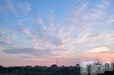 ��ˬ����Х��顦����֥���� �ץ���� ��ˬ(����� �ץ���� ����) ע�� ��������9��20���̥�֥�����🦢��