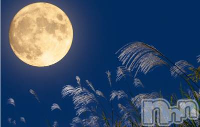 ��ˬ����Х��顦����֥���� �ץ���� ��ˬ(����� �ץ���� ����) ע�� ��������10��5���̥�֥�����🌕️��