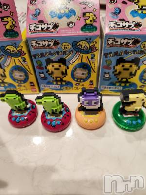 ��ˬ����Х��顦����֥���� �ץ���� ��ˬ(����� �ץ���� ����) ע�� ��������12��11���̥�֥�����⛄��