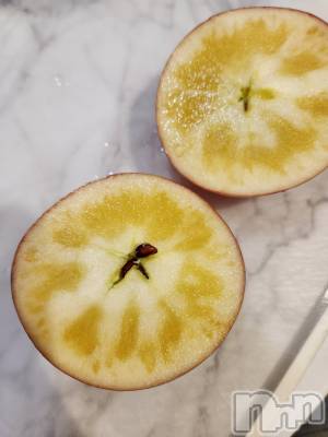 ��ˬ����Х��顦����֥���� �ץ���� ��ˬ(����� �ץ���� ����) ע�� ��������12��27���̥�֥�����🌿��