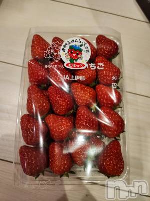 ��ˬ����Х��顦����֥���� �ץ���� ��ˬ(����� �ץ���� ����) ע�� ��������2��5���̥�֥�����🦀��