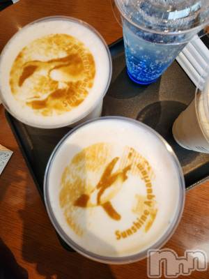 ��ˬ����Х��顦����֥���� �ץ���� ��ˬ(����� �ץ���� ����) ע�� ��������2��19���̥�֥�����🌵��