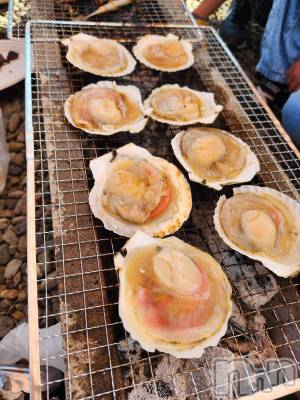 ��ˬ����Х��顦����֥���� �ץ���� ��ˬ(����� �ץ���� ����) ע�� ��������5��14���̥�֥�����⭐��