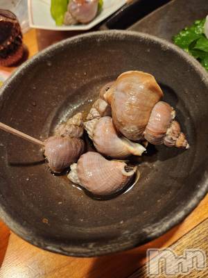 ��ˬ����Х��顦����֥���� �ץ���� ��ˬ(����� �ץ���� ����) ע�� ��������7��3���̥�֥�����🎈��