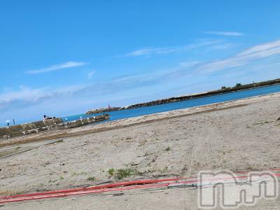 ��ˬ����Х��顦����֥���� �ץ���� ��ˬ(����� �ץ���� ����) ע�� ��������8��23���̥�֥�����🐚��