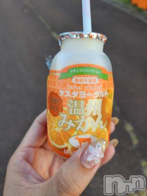 ��ˬ����Х��顦����֥���� �ץ���� ��ˬ(����� �ץ���� ����) ע�� ��������9��5���̥�֥�����⭐️��