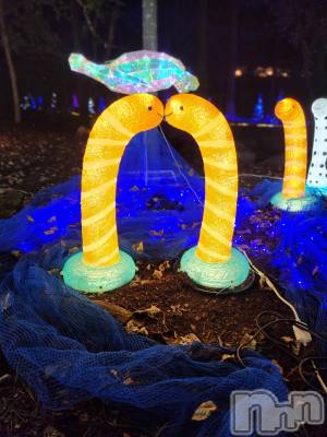 ��ˬ����Х��顦����֥���� �ץ���� ��ˬ(����� �ץ���� ����) ע�� ��������10��17���̥�֥�����🐟��