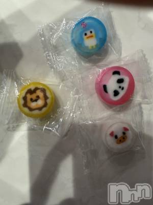 ��ˬ����Х��顦����֥���� �ץ���� ��ˬ(����� �ץ���� ����) ע�� ��������1��11���̥�֥�����🍭��