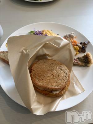 ��ˬ����Х��顦����֥���� �ץ���� ��ˬ(����� �ץ���� ����) ע�� ��������2��4���̥�֥�����🤎��