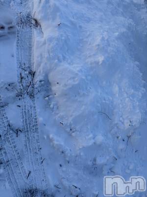 ��ˬ����Х��顦����֥���� �ץ���� ��ˬ(����� �ץ���� ����) ע�� ��������2��12���̥�֥�����☃️��