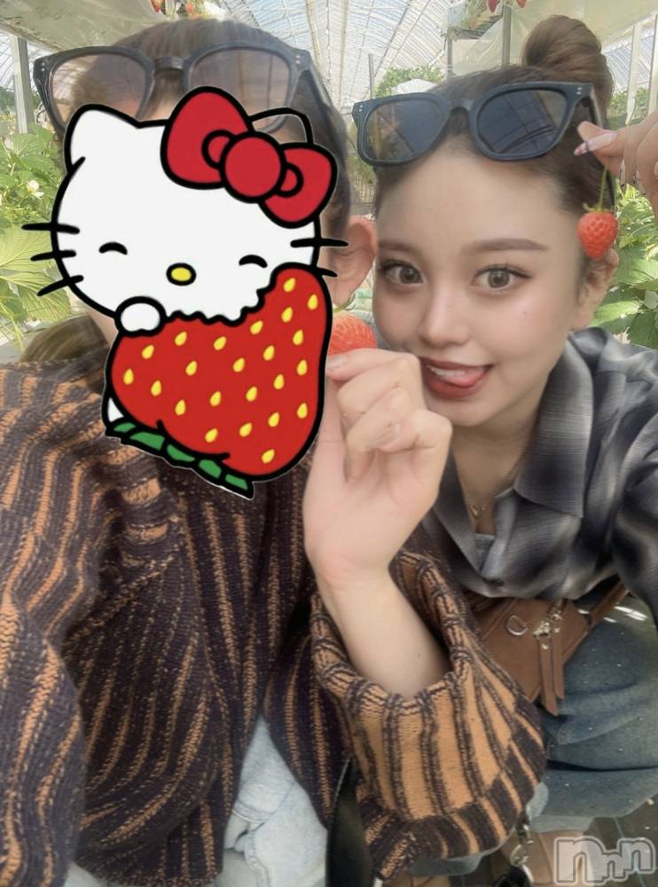ܱХ顦֥ ץ ( ץ ޥĥ) ޤͤ227̥֥🍓🐄
