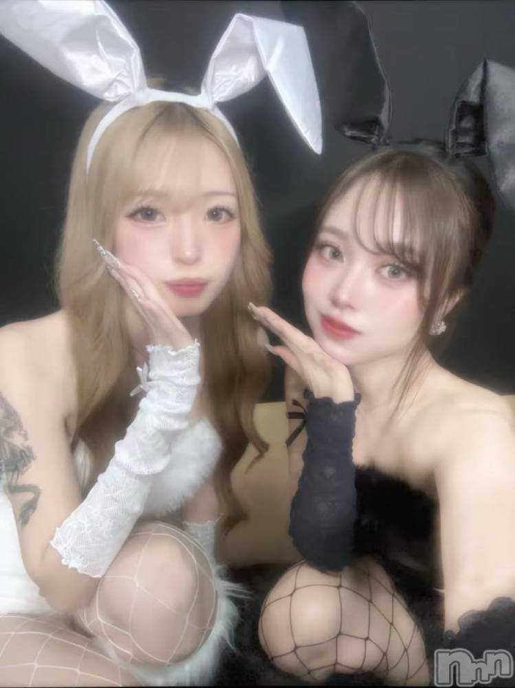 ܱХ顦֥ ץ ( ץ ޥĥ) ޤͤ1027̥֥1027 2126ʬΥ֥