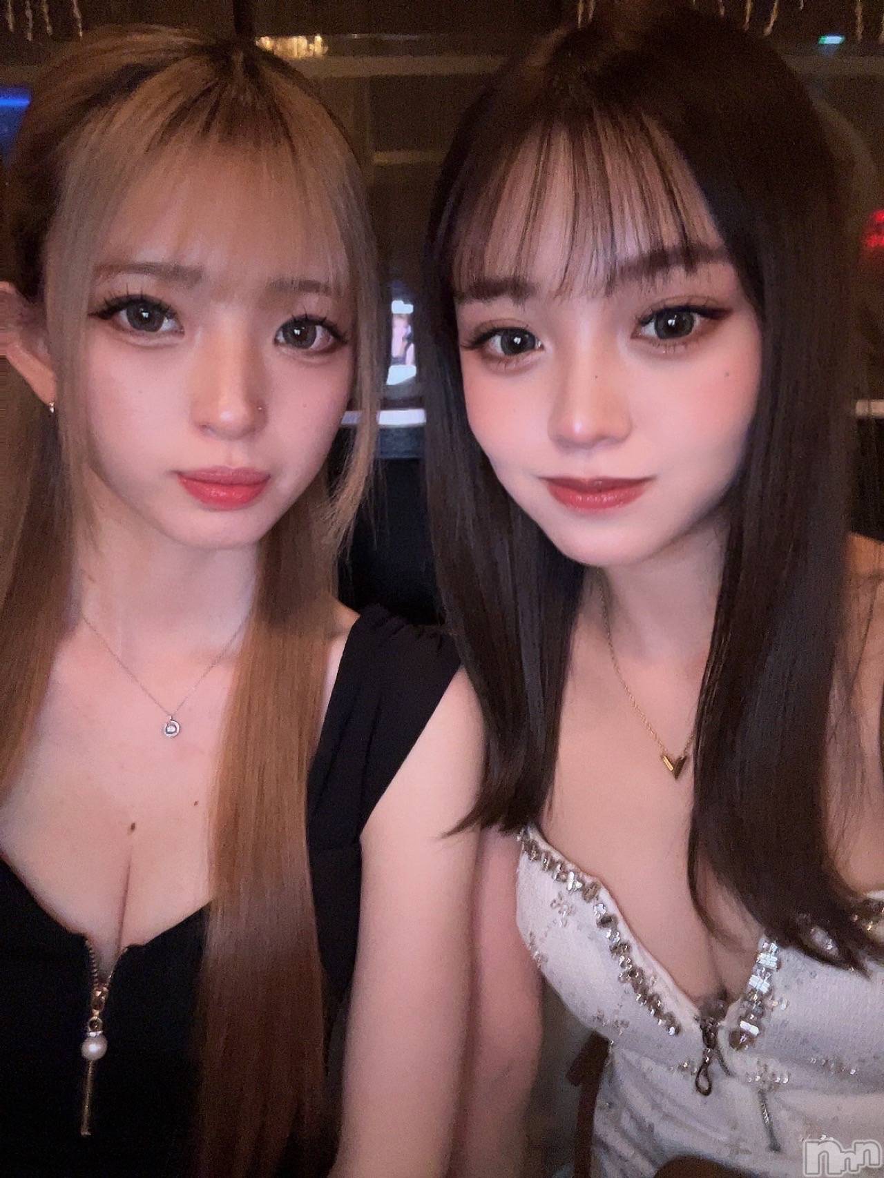 ܱХ顦֥ ץ ( ץ ޥĥ) 2025ǯ328̥֥🐥⭐