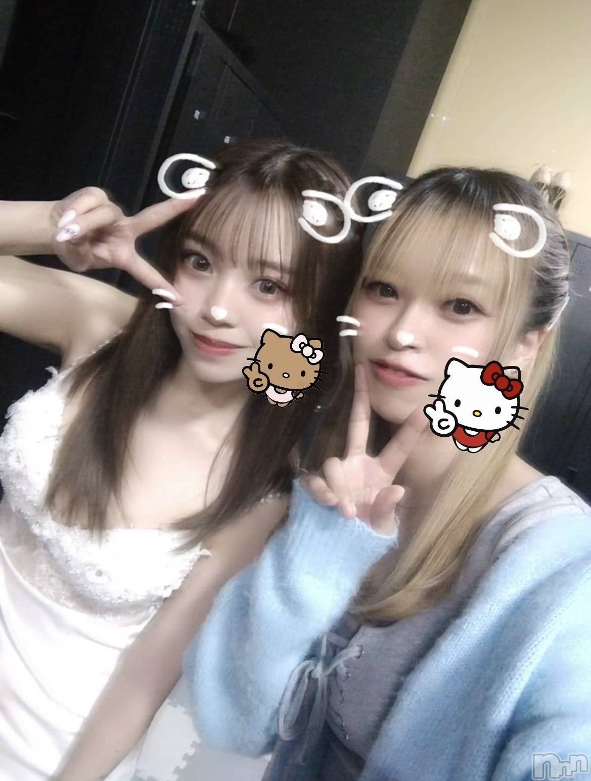 ܱХ顦֥ ץ ( ץ ޥĥ) 2025ǯ410̥֥🐱🎀