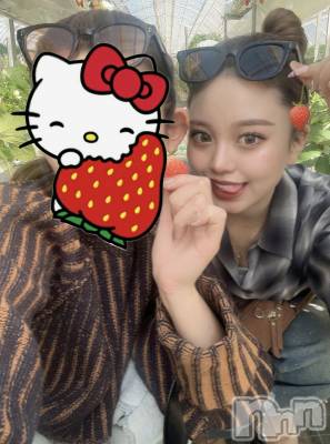 ܱХ顦֥ ץ ( ץ ޥĥ) ޤͤ227̥֥🍓🐄