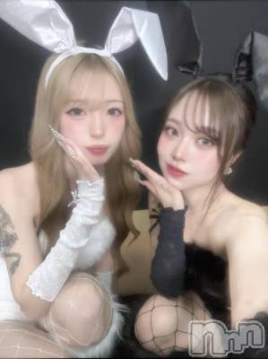 ܱХ顦֥ ץ ( ץ ޥĥ) ޤͤ1027̥֥1027 2126ʬΥ֥