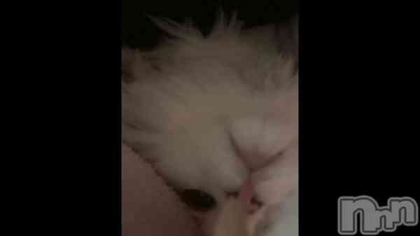 &#x1F408;&#x200D;&#x2B1B;&#x1F380;