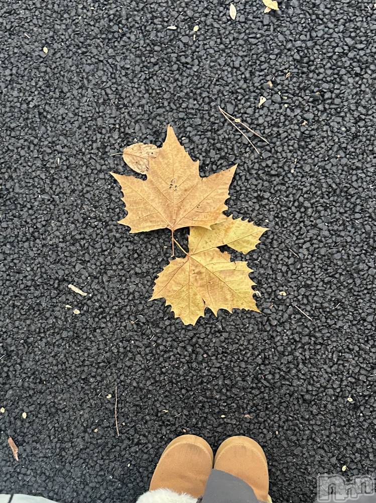 ʥå륺СLounge Anshu(饦󥸥󥷥) 1126ֽ̥֥ܳŪ˽äƤޤ ;  ; ˡ