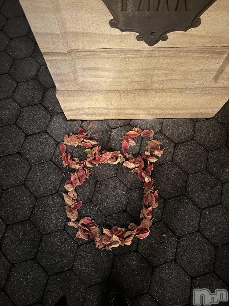 ʥå륺СLounge Anshu(饦󥸥󥷥) 1210̥֥դǤ